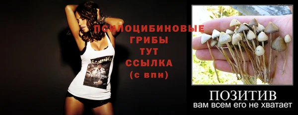 МДПВ Ладушкин