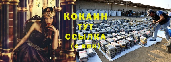 мдпв Лабытнанги