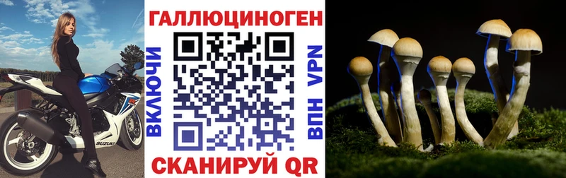 наркота  Макушино  Галлюциногенные грибы MAGIC MUSHROOMS 