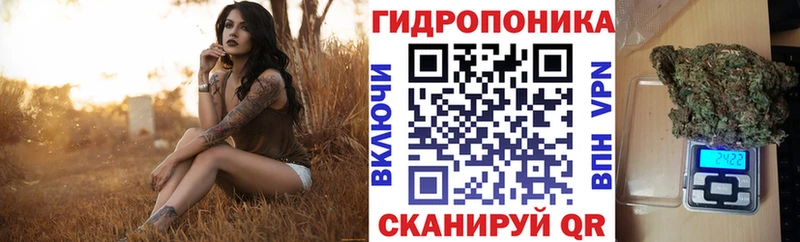Марихуана Amnesia  Макушино 